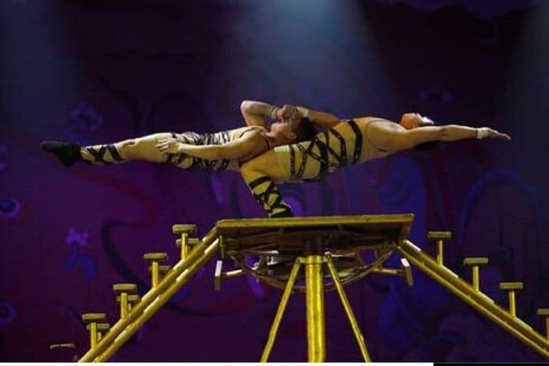 Spectacle acrobatique du Théâtre rouge de Pékin avec service de transfert privé