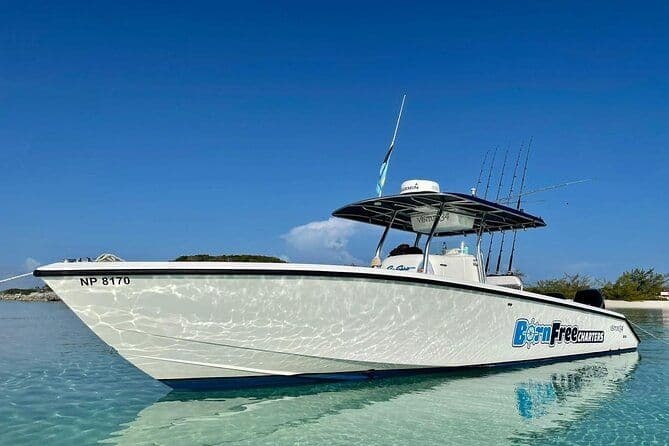 Bateau à moteur privé pour la plongée ou la pêche à Nassau - 34ft