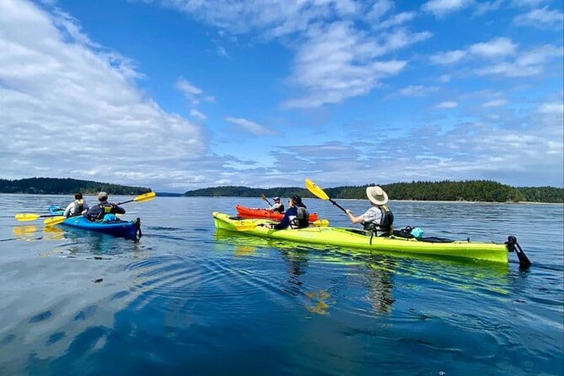 Visite guidée en kayak du parc d'État Hope Island