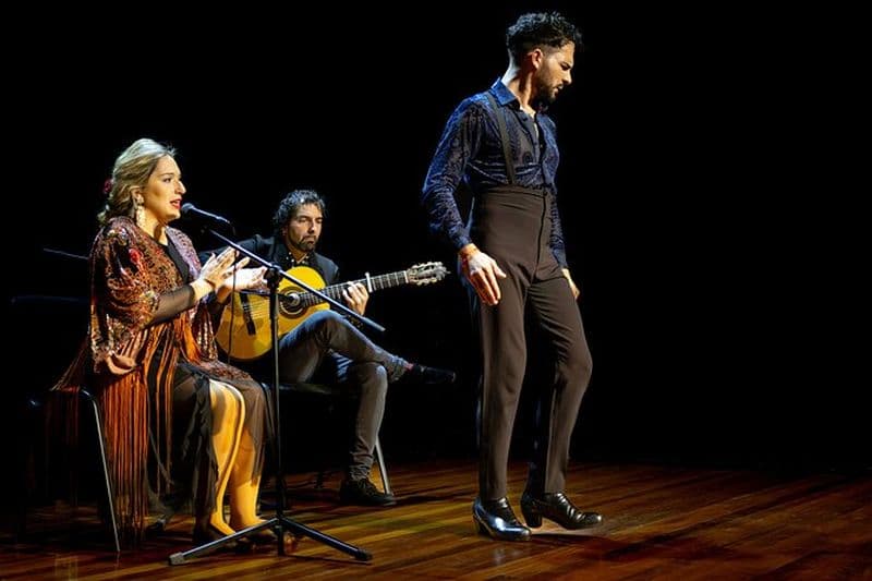 Jerez: Fête privée avec dégustation de vin, dîner et spectacle de flamenco