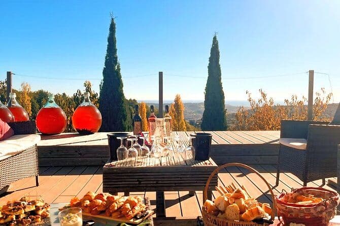 Billet Dégustation de Vins et Produits Bio au Vignoble de Saint-Jeannet