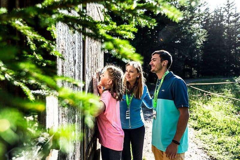 Chasse au trésor Foxtrail - Compass Trail Vancouver