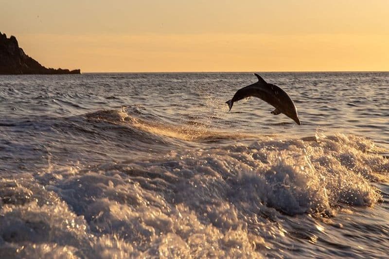 Golfe d'Ajaccio / Anse de Cacao