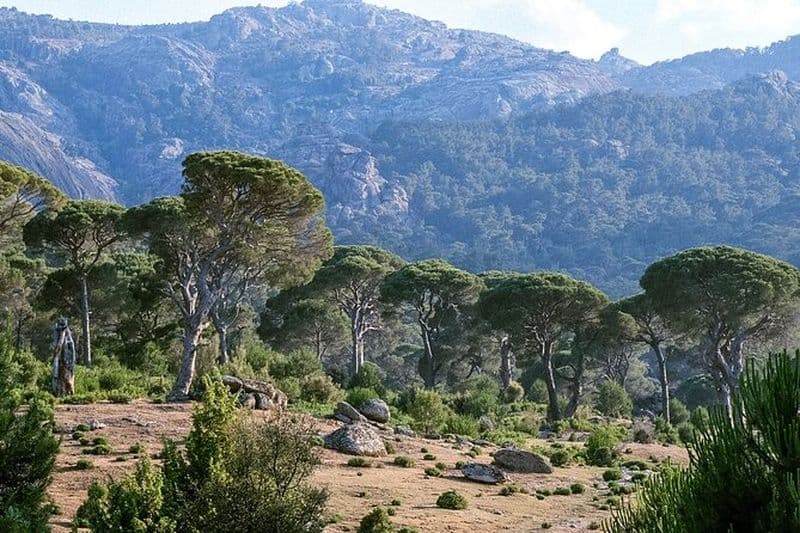 Latmos Magic - Aventure privée en vélo pleine de paysages et d'histoire