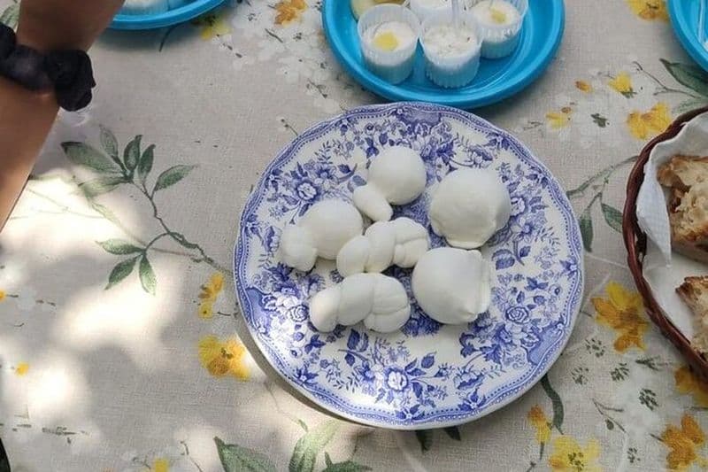 Visite de Pompei et expérience de fabrication de fromage