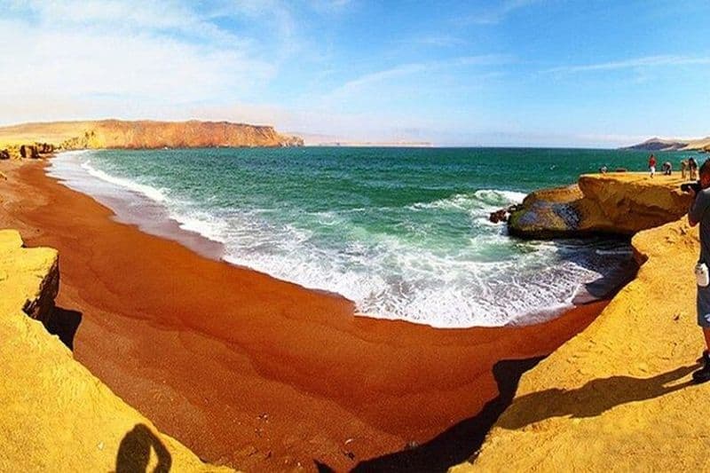 Réserve nationale de Paracas en bus touristique