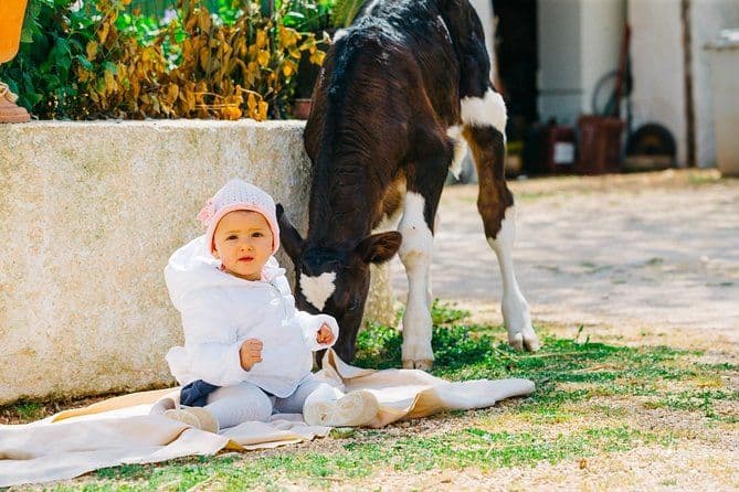 Visite privée de fabrication de fromage dans la Valle d'Itria avec dégustations