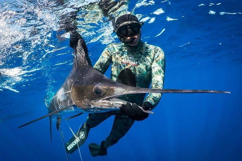 Pêche sous-marine charter à la journée à Kawau Island