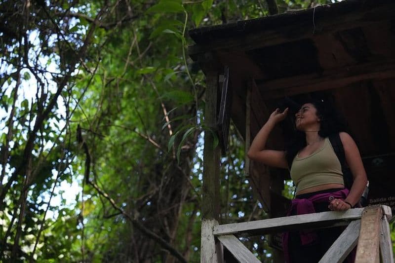 Observation des oiseaux et sentier panoramique