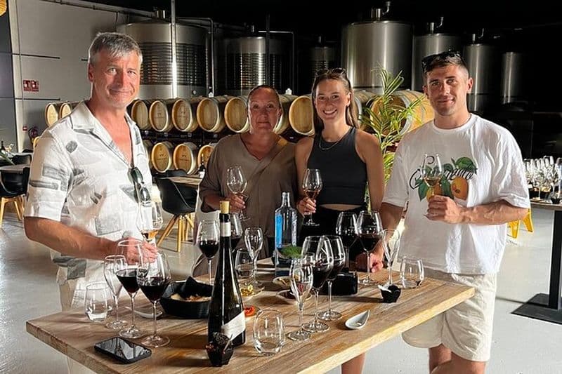 Visite du Vin : Visite de Bodega avec Dégustation et Apéritifs