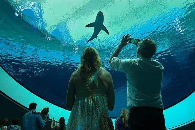 Billets d'entrée au musée des sciences Frost