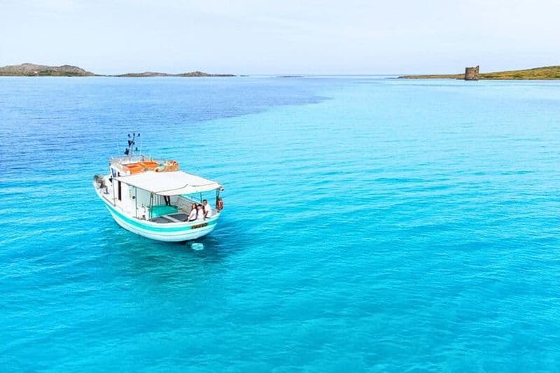 Depuis Stintino Excursion en bateau de pêche dans le parc Asinara