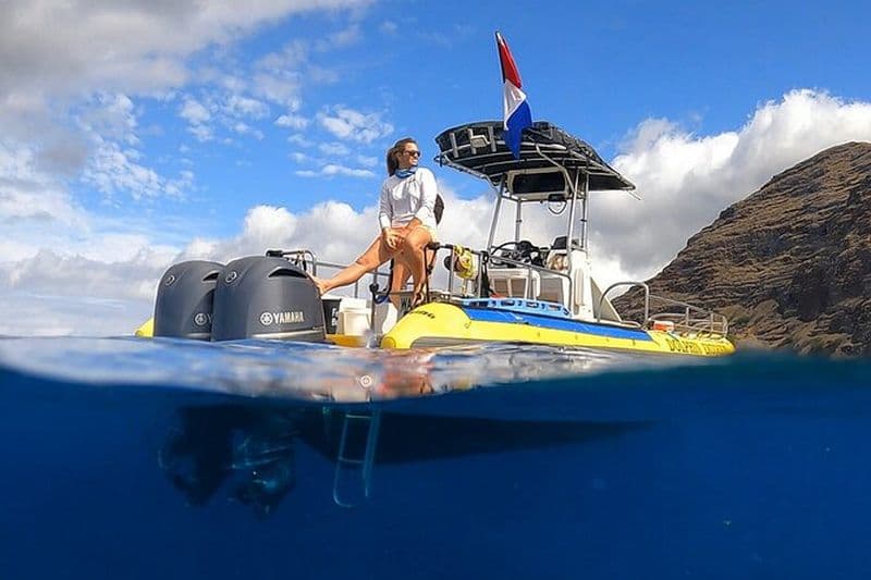 Croisière avec plongée avec masque et tuba sur la côte de Waianae, avec observation des dauphins et des baleines en saison, au départ d'Oahu