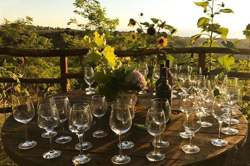 Dégustation de vin et de produits typiques