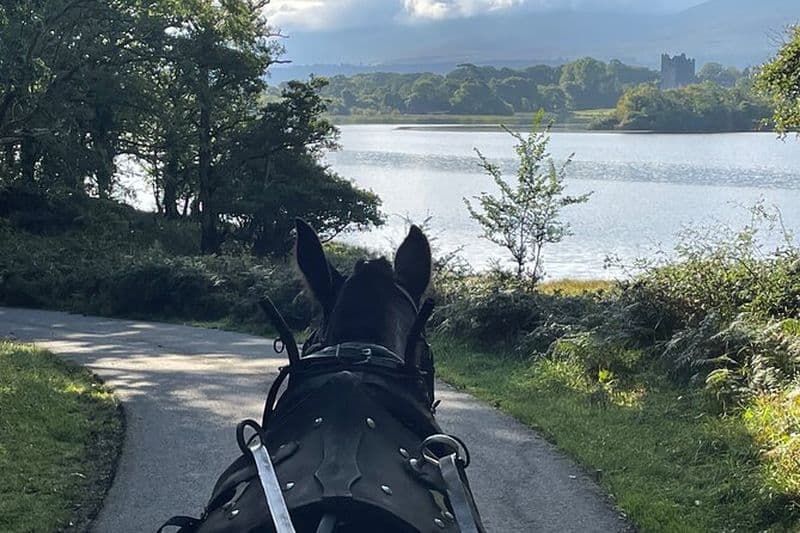 Visites en carrioles tirées par des chevaux à Killarney