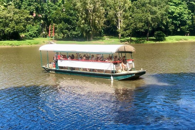 Billet Croisière touristique à Kuranda