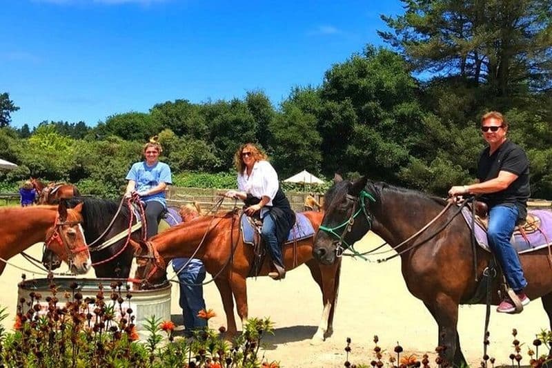 Équitation privée et aventure Muir Woods au départ de San Francisco