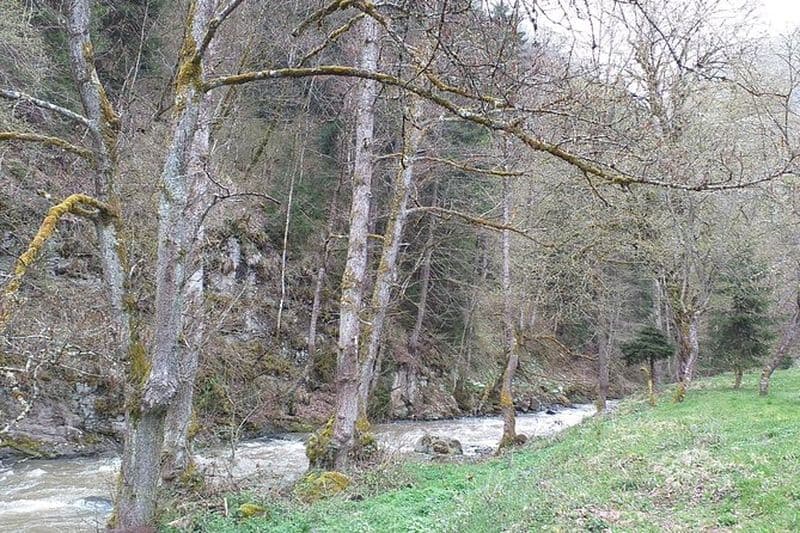 Séjour spa de 2 jours et culture