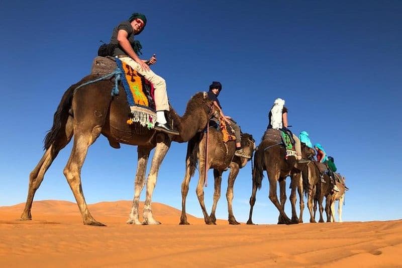 7 jours : Casablanca à Chefchaouen puis Fès et désert du Sahara - Camel Trekking