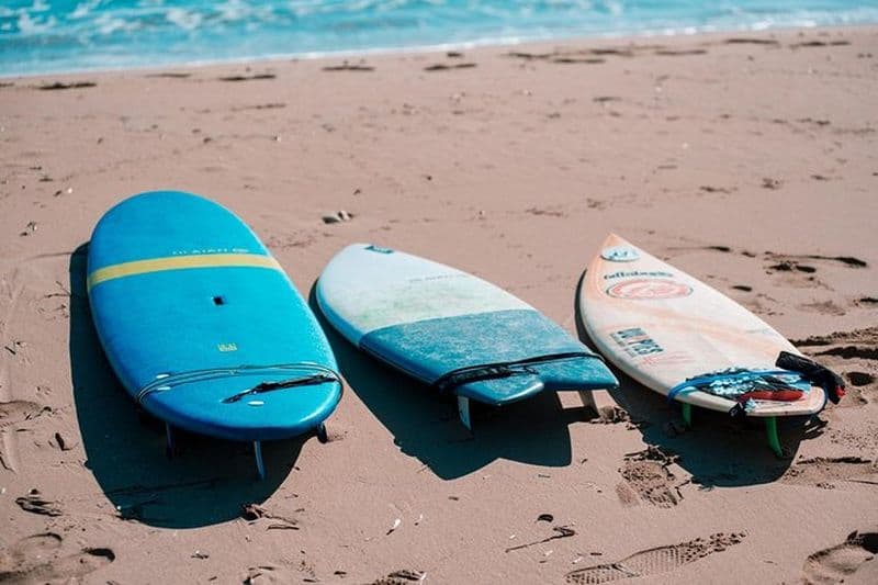 Location d'équipement de surf et sup