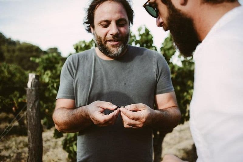 Billet Bertrand Bosc visite des vins et des mets à Pic St Loup