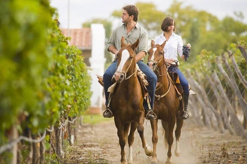 Équitation à Mendoza à travers les vignes et la rivière avec Asado en option.
