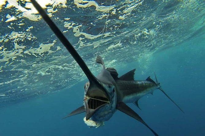 Excursion de pêche de quatre heures à la Dominique