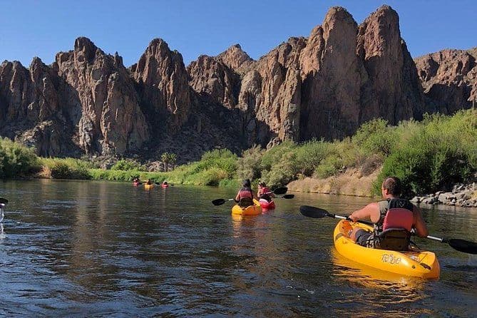 Sortie en kayak sur la Salt River Foxtail