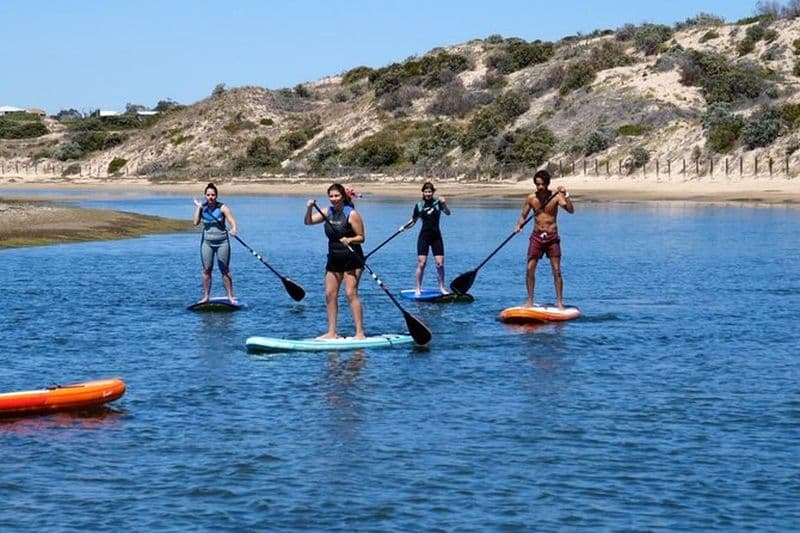 Coast to Vines : E-bike*, Paddle Board et Wine Tour (2 options)