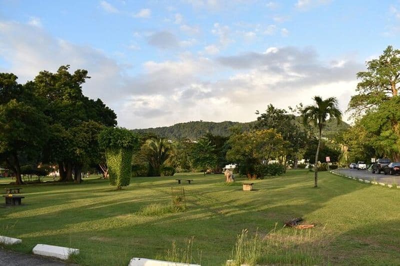 Détendez-vous dans les sources chaudes et nagez dans les gorges de Titou et les chutes de Trafalgar