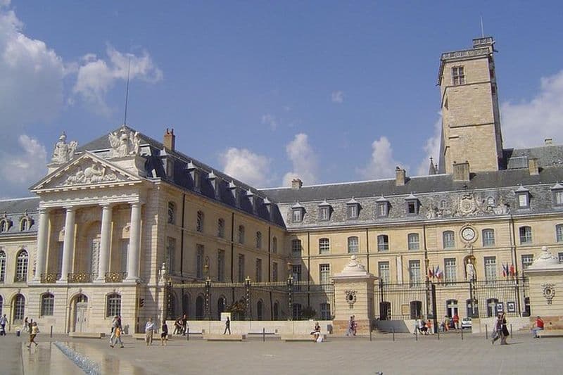 Dijon - Visite guidée à pied historique