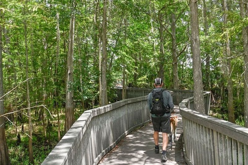 Randonnée de safari animalier d'Orlando avec un photographe animalier