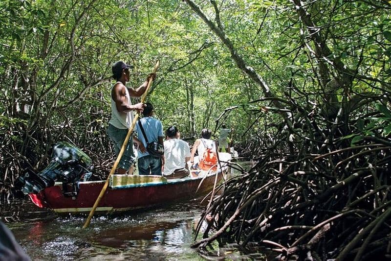 Excursion dans les mangroves à Nusa Lembongan : kayak, pagaie et bateau