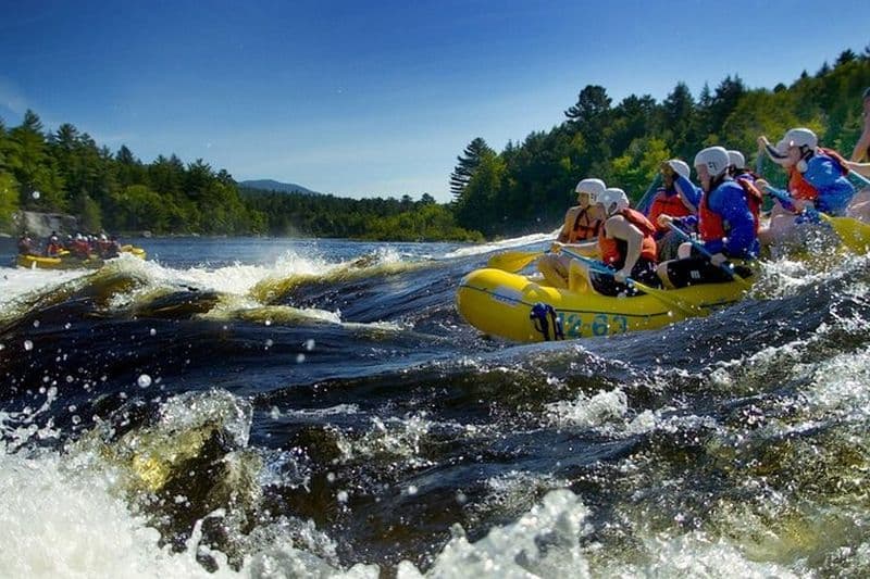 Rafting dans les Carpates, excursion d'une journée au départ de Bucarest
