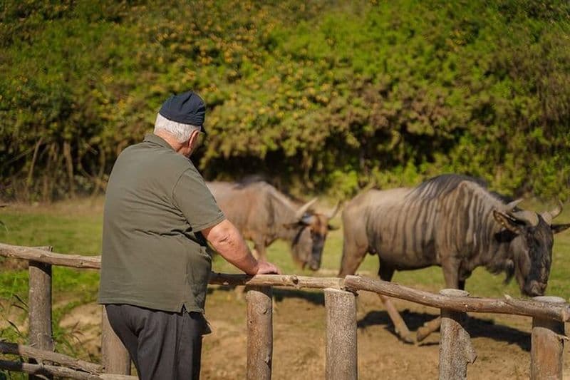 Explorez Africa Park Safari Visite de la nature pour les familles