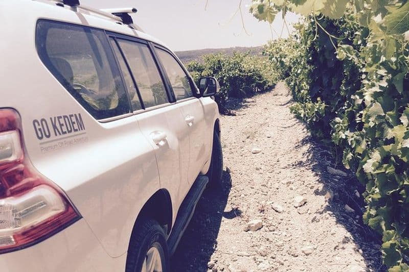 Dégustation de vins des collines de Judée à partir de Jérusalem