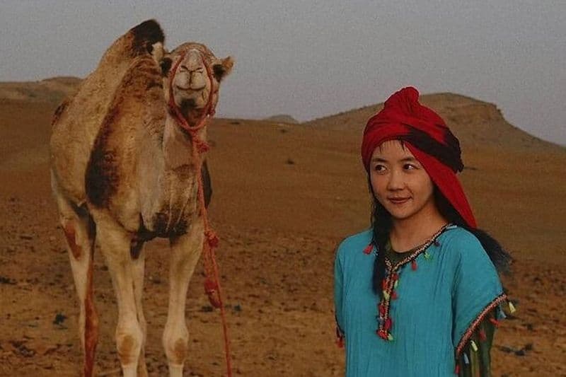 Dîner dans le désert de Marrakech, balade à dos de chameau au coucher du soleil et danse autour d'un feu de camp