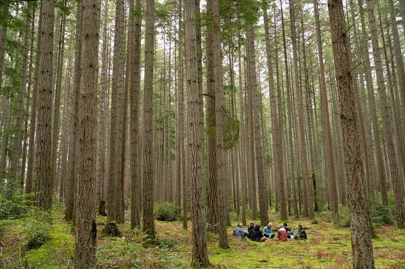 Randonnée dans la forêt de sérénité de l'île de Bainbridge et visite des sites culturels