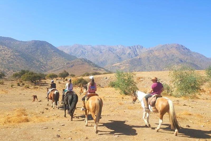 Excursion à cheval dans les Andes Santiago du Chili