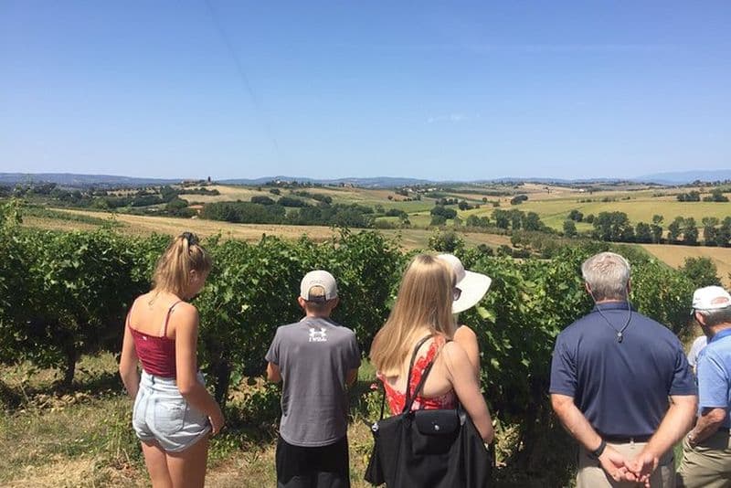 Dégustations de vin et d'huile d'olive avec les locaux