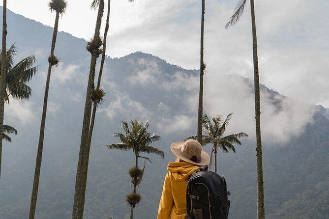 Excursion d'une journée à cheval dans la vallée de Cocora et le Salento