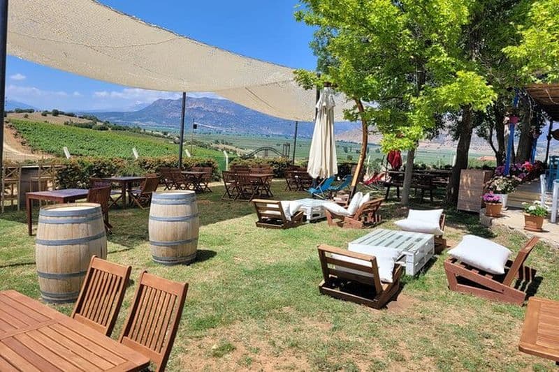 Visite des vignobles Arykanda et Likya Un mélange d'histoire et de vin