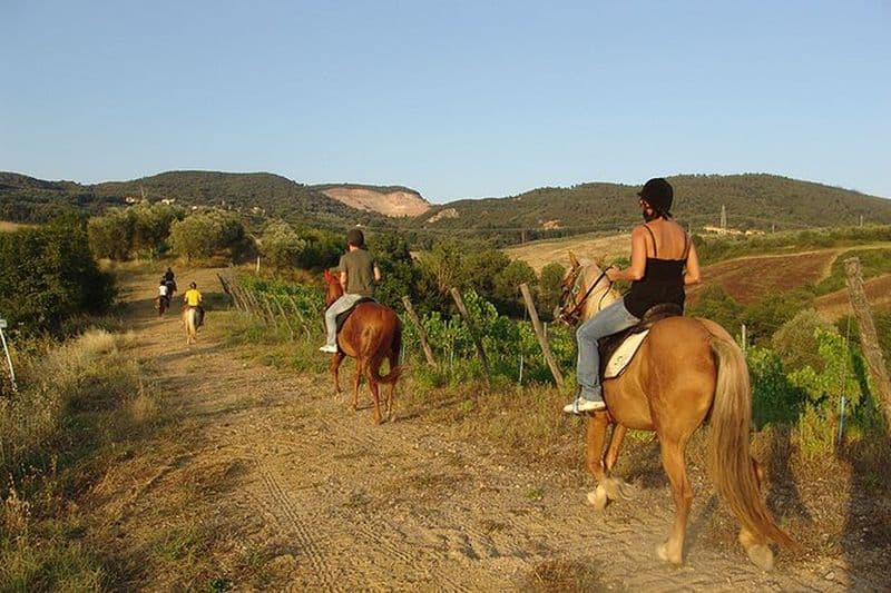 Expérience D'Équitation à Bodrum