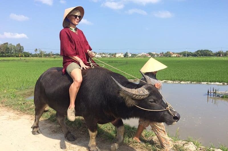 Visite de la ferme de riz de Hoi An et balade à cheval avec un repas local fait maison