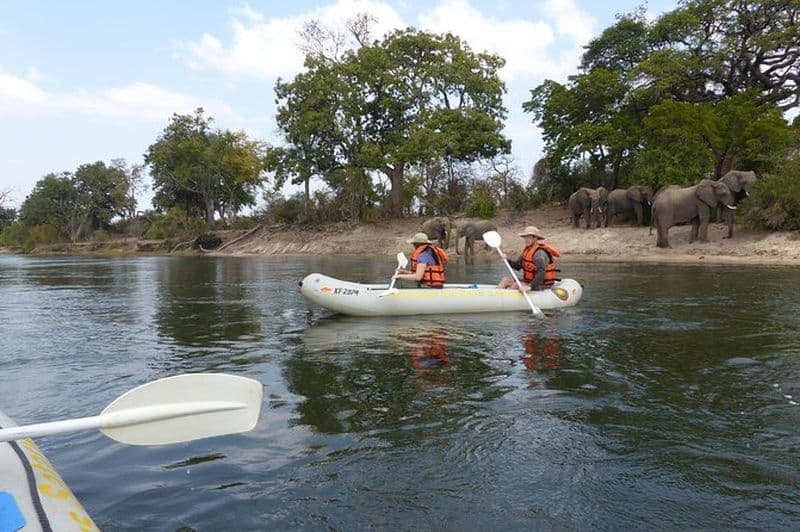 Canoë avec observation de la faune