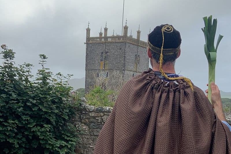 Visite à pied de la comédie de St Davids