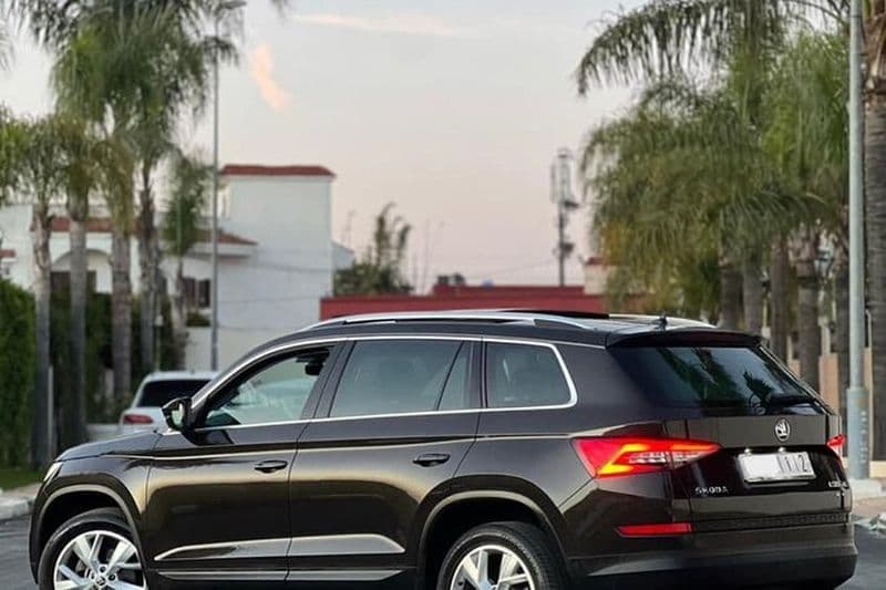 Louez un chauffeur privé pour le service à l'aéroport et les visites personnalisées de la ville