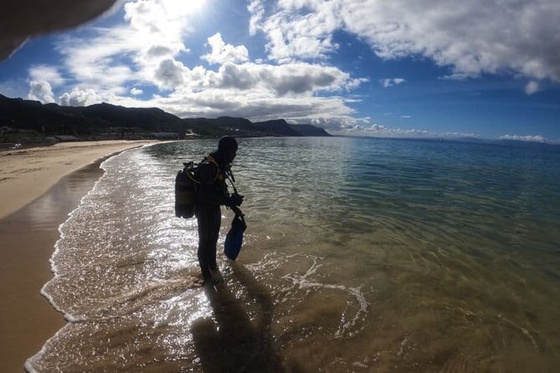 Expérience de plongée sous-marine débutante à Simonstown.