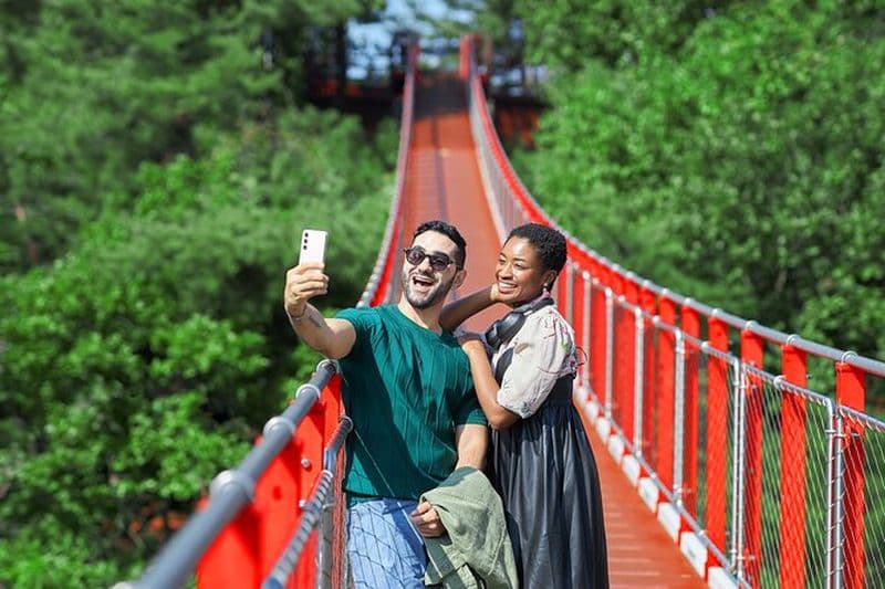 Meilleur circuit DMZ en Corée au départ de Séoul (pont suspendu rouge en option)