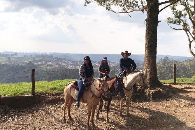 Équitation jusqu'aux belvédères et à la cascade de Sestillal Salento